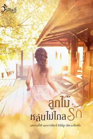 ปก ลูกไม้หล่นไม่ไกลรัก (coin) - มี ebook