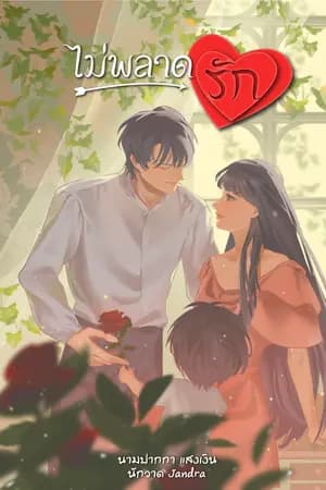 ปก ไม่พลาดรัก (จบ)