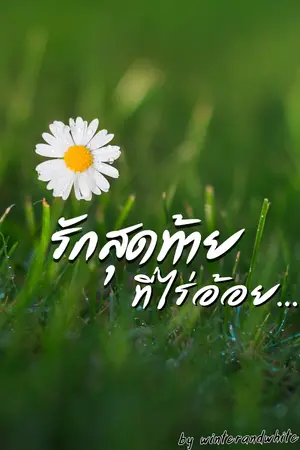 ปก my sucrose รักสุดท้าย ที่ไร่อ้อย