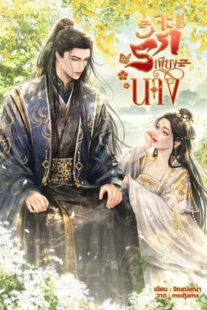 ปก จะรักเพียงนาง