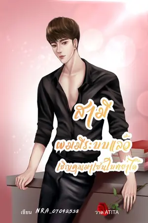 ปก สามี ผมมีระบบแล้ว เชิญคุณมาเซ็นใบหย่าได้