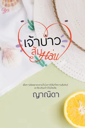 ปก เจ้าบ่าวส้มหล่น(RE-up)