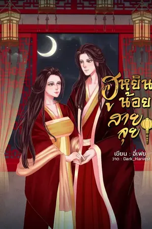 ปก ฮูหยินน้อยสายลุย