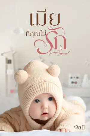 ปก เมีย ที่คุณไม่รัก