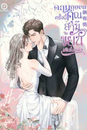 ปก คลุมถุงชนครั้งนี้ คุณสามีจะขยันเกินไปแล้ว