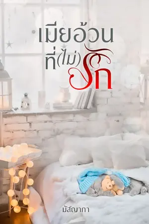 ปก เมียอ้วนที่(ไม่)รัก (มีe-book)