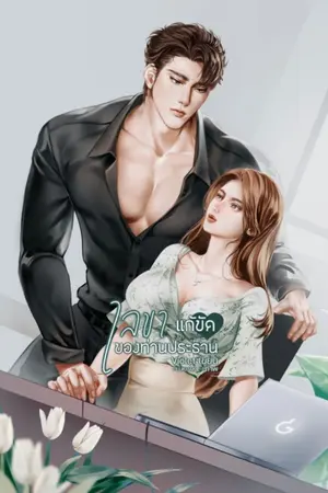 ปก เลขาแก้ขัดของท่านประธาน