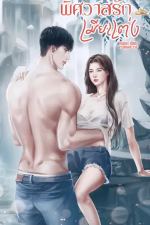 ปก พิศวาสรักเมียแต่ง
