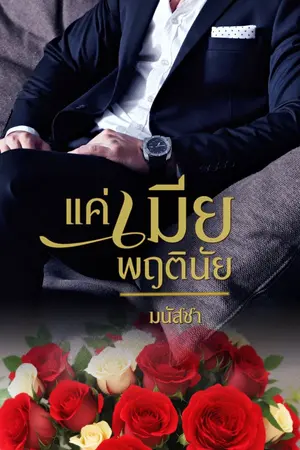 ปก แค่เมียพฤตินัย | มี e-book