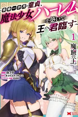 ปก Makutsu no Ou ~Yomei Ikkagetsu no Doutei, Mahou Shoujo Harem o Kizuite Ou e Kunrinsu~(นิยายแปล)